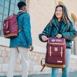 Aanbiedingen 🧨 Harry Potter Rugzak Hogwarts Express - Hoogte 45cm 👏 -Tassen-Dames Winkel 550x550 308